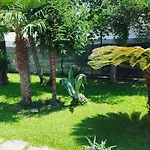 Solemare 