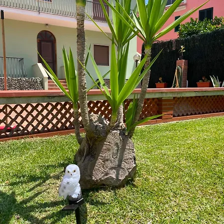 Solemare 